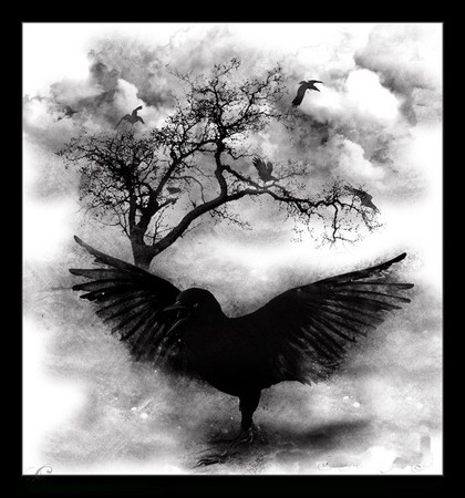 Corbeau